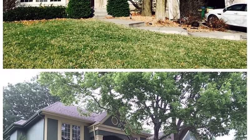 Wellspring Remodeling Paint Jobs